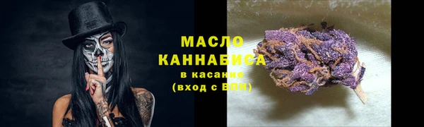молекула духа Дмитров