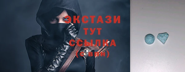хмурый Гусь-Хрустальный