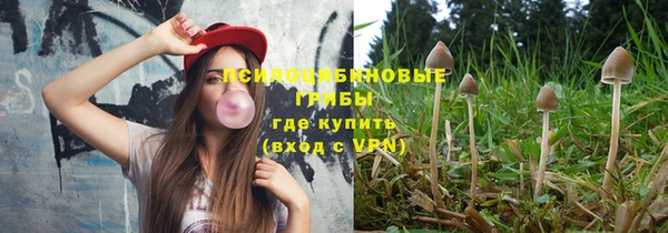 молекула духа Дмитров