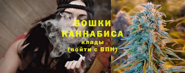 PSILOCYBIN Дмитровск